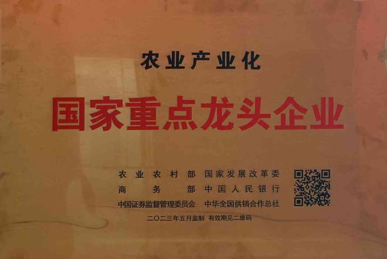 w88优德官网荣誉简介